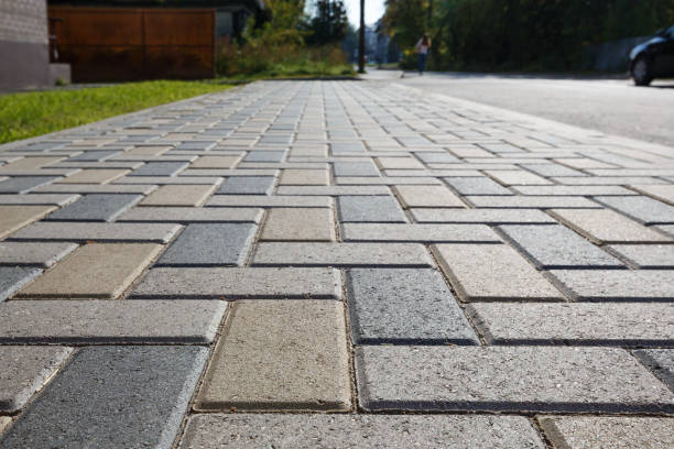 Best Driveway Pavers Near Me  in Langdon, ND
