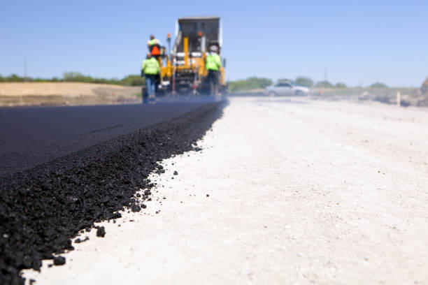 Best Local Driveway Pavers  in Langdon, ND