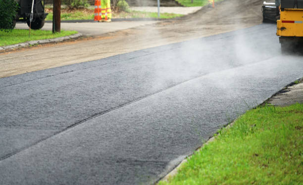 Best Driveway Repair Near Me  in Langdon, ND
