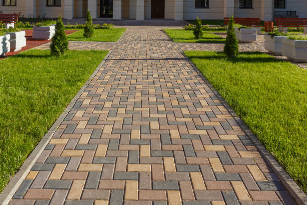 Best Commercial Driveway Pavers  in Langdon, ND
